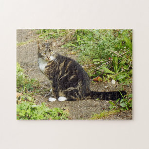 Rompecabezas del gato de Tabby