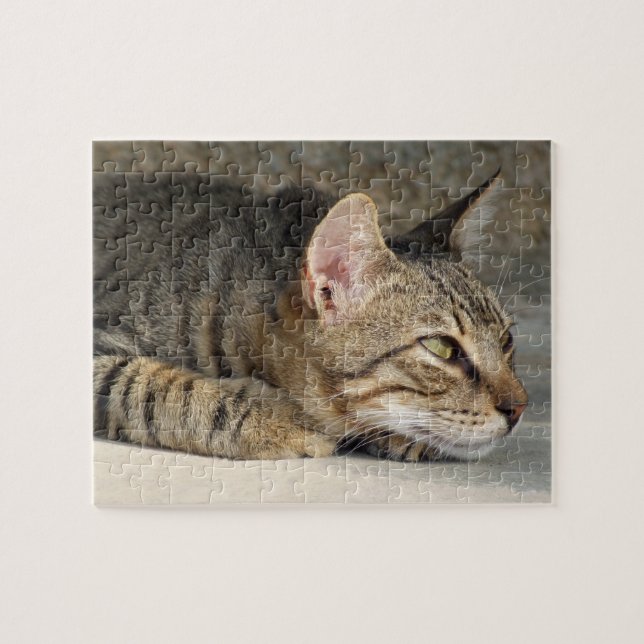 Rompecabezas del gato de Tabby (Horizontal)
