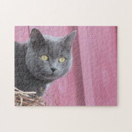 Rompecabezas del gato gatito