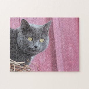 Rompecabezas del gato gatito