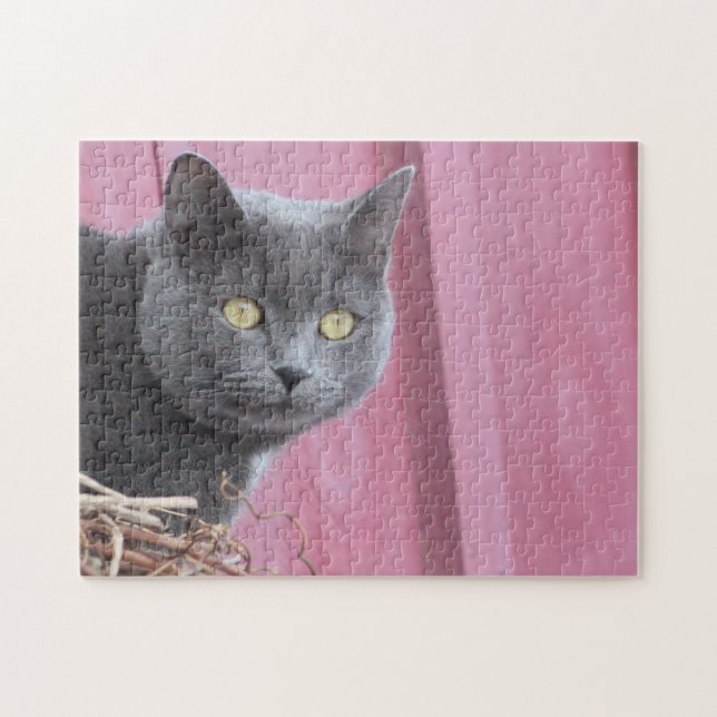 Rompecabezas del gato gatito (Horizontal)
