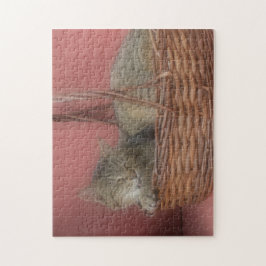 Rompecabezas del gato gatito