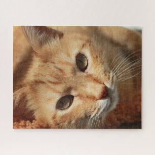 Rompecabezas del gato naranja