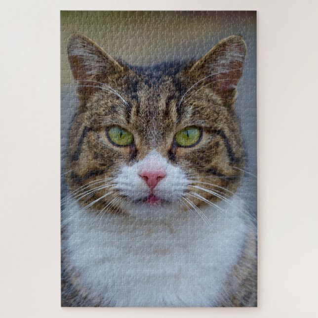 rompecabezas del gato tabby (Vertical)