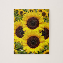Rompecabezas del girasol