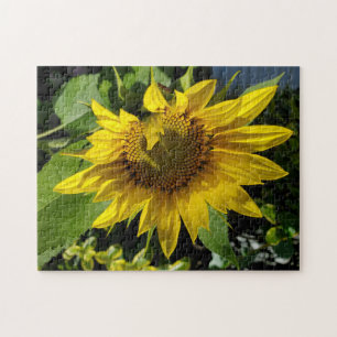 Rompecabezas del girasol
