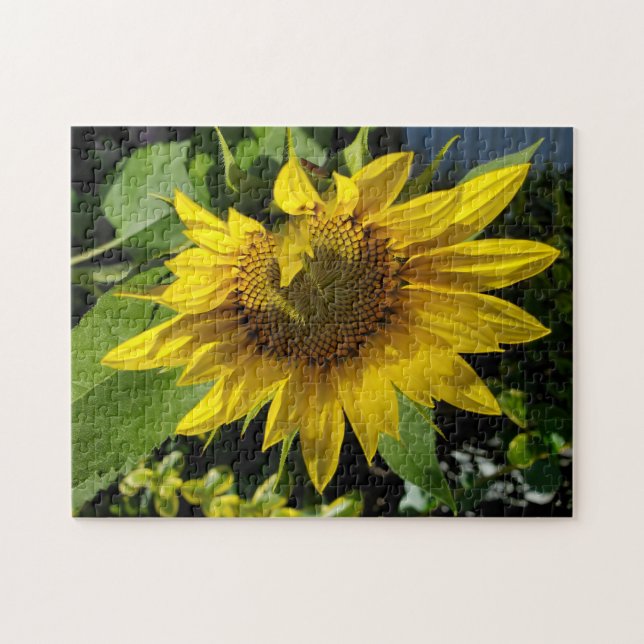 Rompecabezas del girasol (Horizontal)