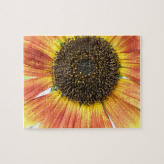 Rompecabezas del girasol naranja