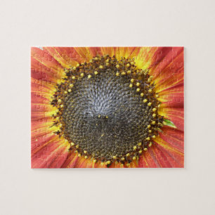 Rompecabezas del girasol rojo y amarillo
