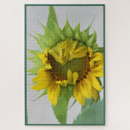 Rompecabezas del Girasol "Tímido"