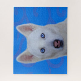 Rompecabezas del Husky Jigsaw Blanco Siberiano (BG