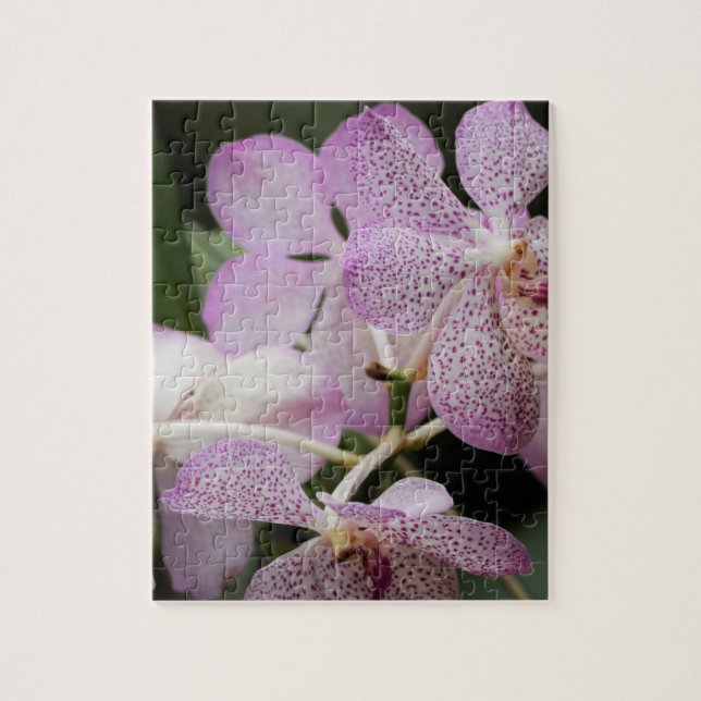 Rompecabezas del jardín de flores (Vertical)