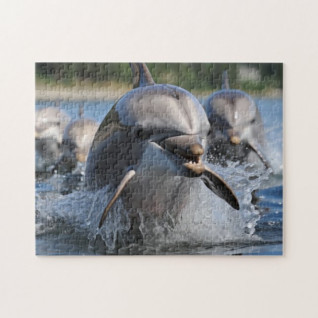 Rompecabezas del juego de los delfines (Horizontal)