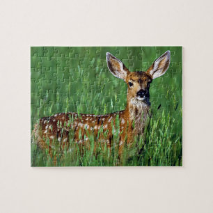 Rompecabezas del juego de Yellowstone