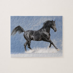 Rompecabezas del juego del caballo negro