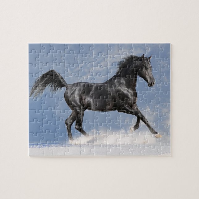 Rompecabezas del juego del caballo negro (Horizontal)