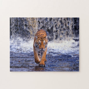 Rompecabezas del juego del tigre