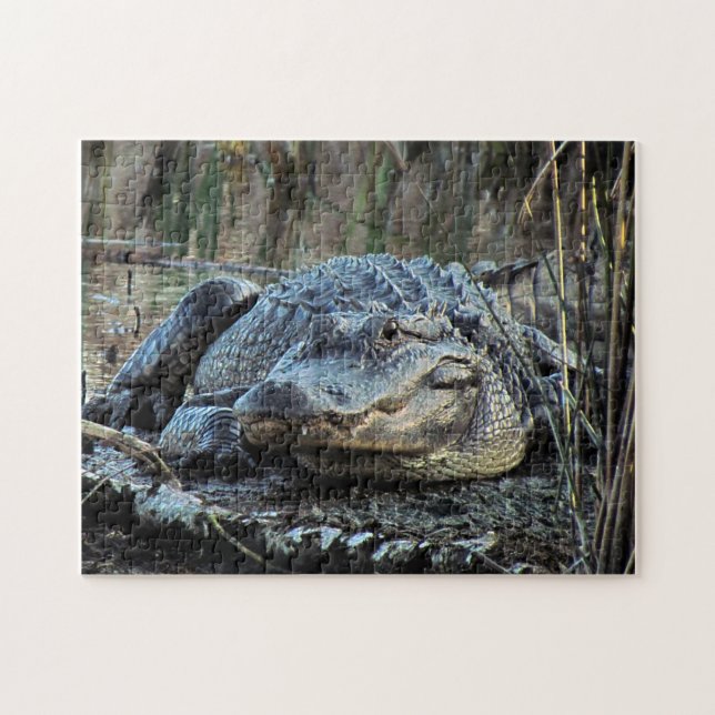 Rompecabezas del lagarto (Horizontal)