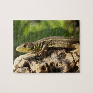 Rompecabezas del lagarto