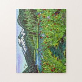 Rompecabezas del lago Todd