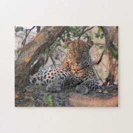 Rompecabezas del leopardo