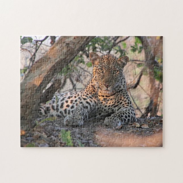 Rompecabezas del leopardo (Horizontal)