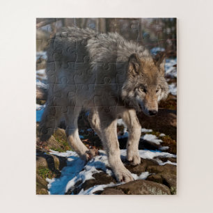Rompecabezas del lobo de la madera Jigsaw