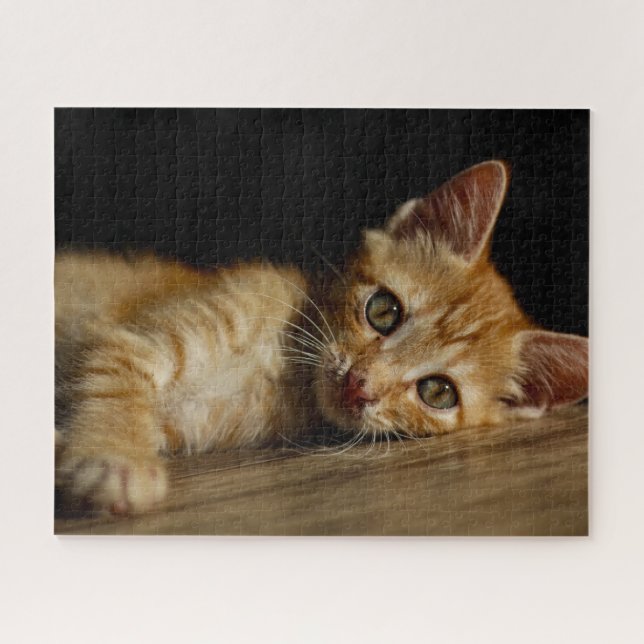 Rompecabezas del naranja Kitten Jigsaw (Horizontal)