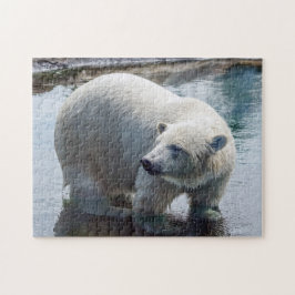 Rompecabezas del oso polar