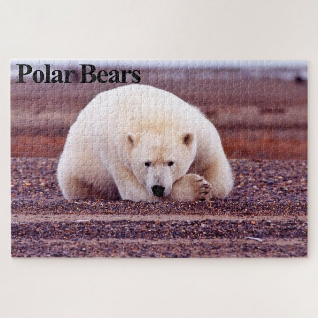 Rompecabezas del oso polar (Horizontal)