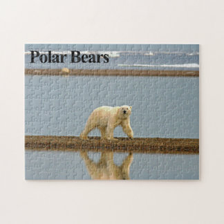 Rompecabezas del oso polar 9