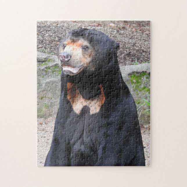 Rompecabezas del oso solar (Vertical)