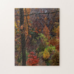 Rompecabezas del paisaje de otoño en Arkansas