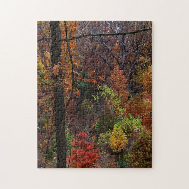 Rompecabezas del paisaje de otoño en Arkansas (Vertical)