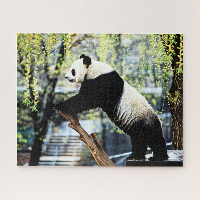 Rompecabezas del Panda (Horizontal)