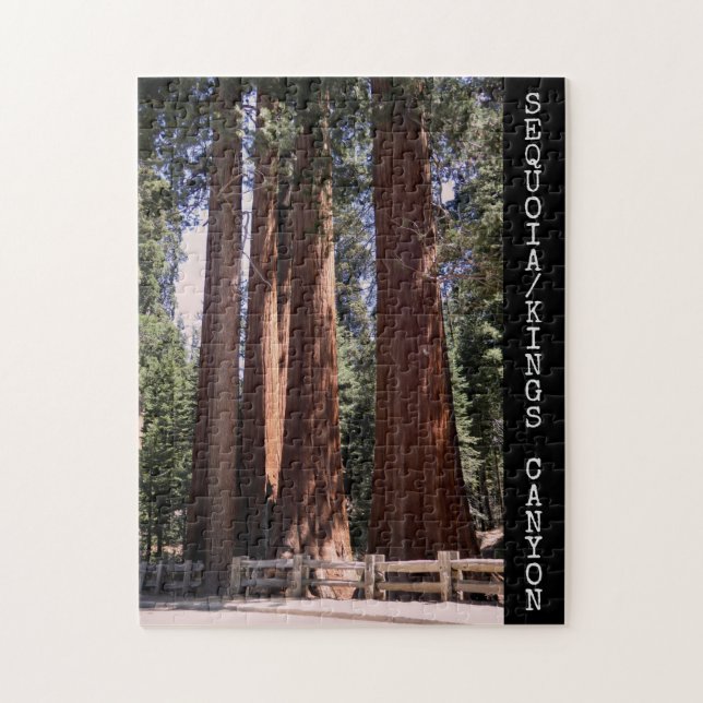 Rompecabezas del Parque Nacional del Cañón Sequoia (Vertical)