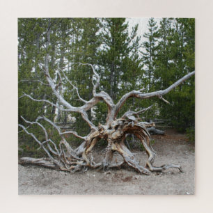 Rompecabezas del Parque Nacional Yellowstone