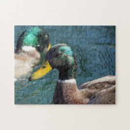 Rompecabezas del pato de Mallard