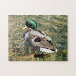 Rompecabezas del pato de Mallard