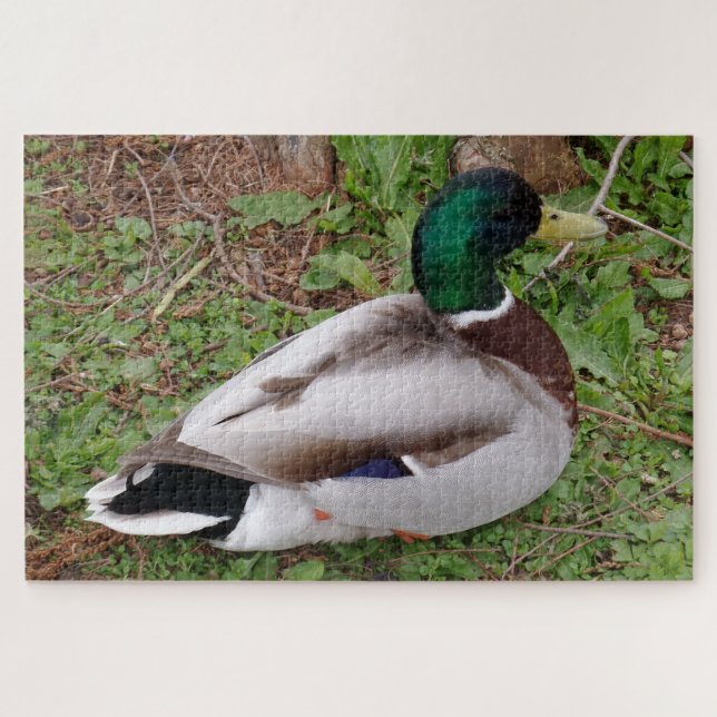 Rompecabezas del pato verde (Horizontal)