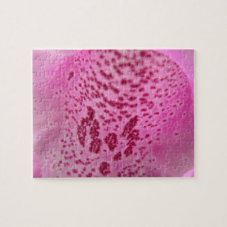 Rompecabezas del pepino Foxglove