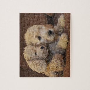 Rompecabezas del perrito de Goldendoodle
