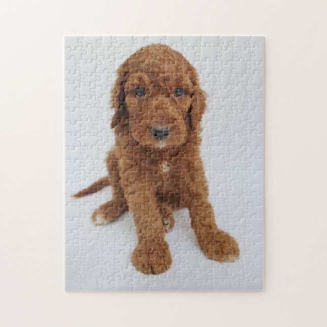 Rompecabezas del perrito de Goldendoodle (Vertical)