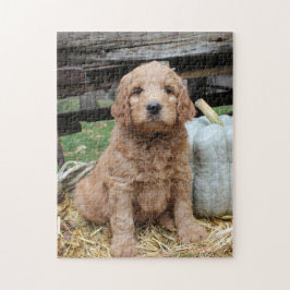 Rompecabezas del perrito de Goldendoodle