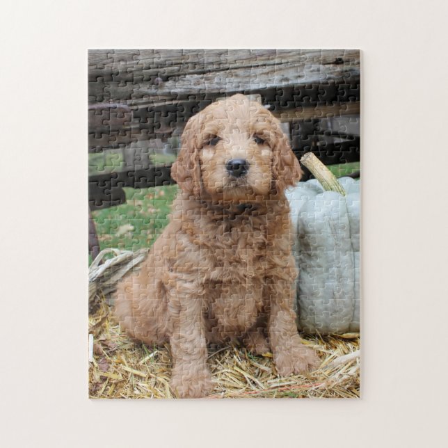 Rompecabezas del perrito de Goldendoodle (Vertical)