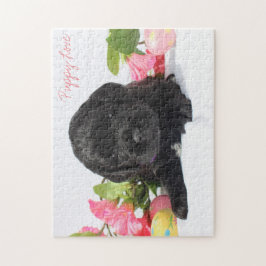 Rompecabezas del perrito de Goldendoodle