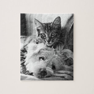 Rompecabezas del perrito y del gatito