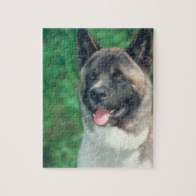 Rompecabezas del perro de Akita (Vertical)