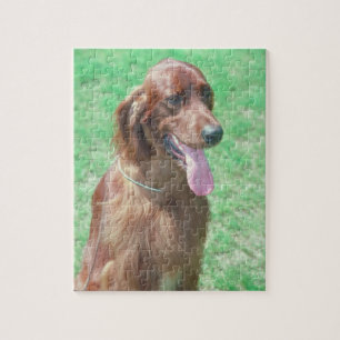 Rompecabezas del perro de Irish Setter