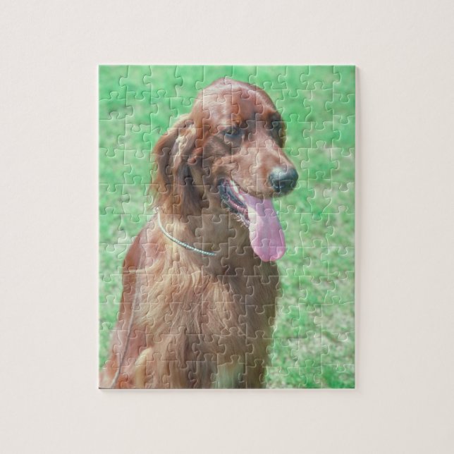 Rompecabezas del perro de Irish Setter (Vertical)